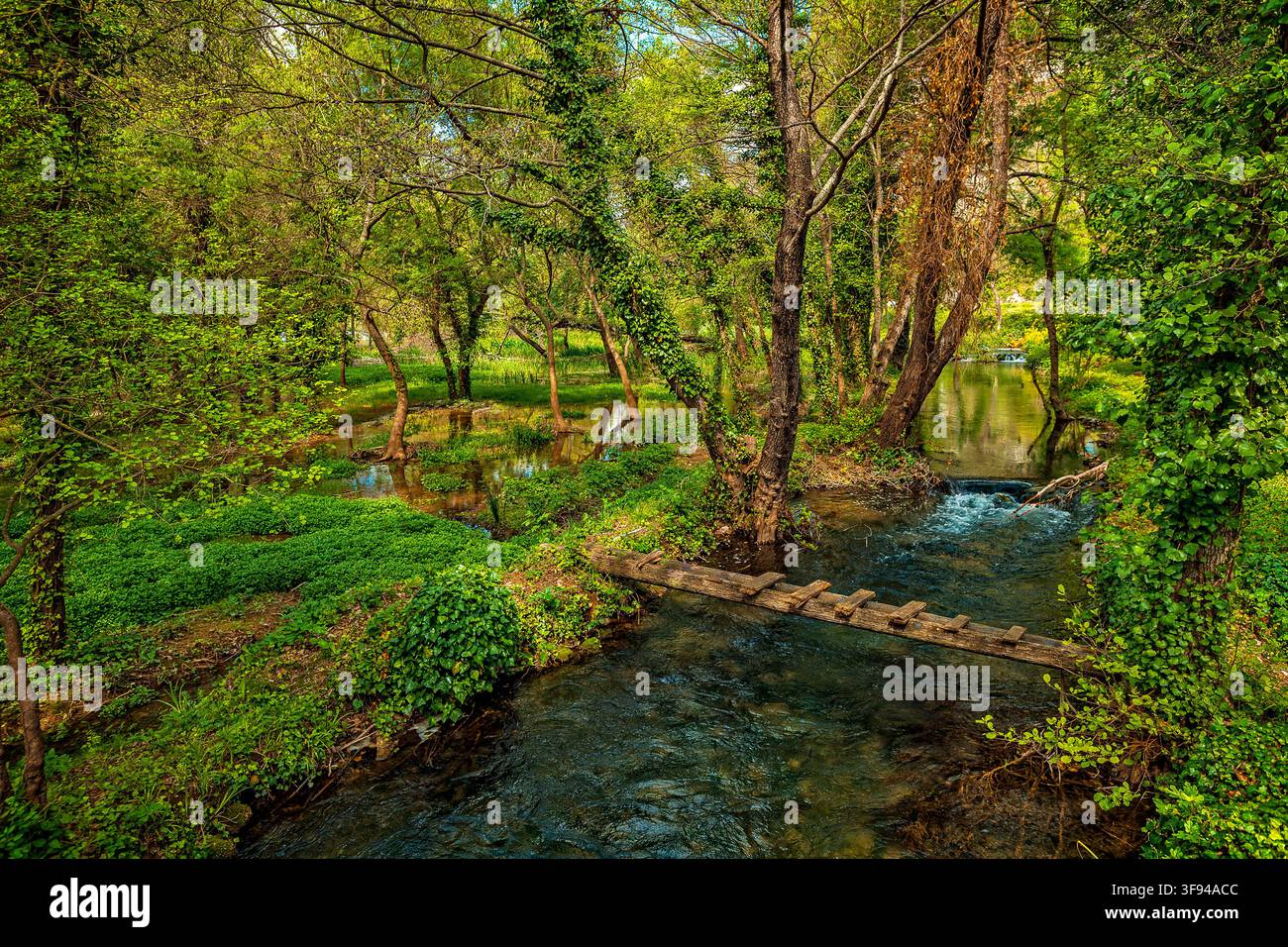Dalmazia Croazia Parco nazionale di Krka - Roski slap Foto Stock
