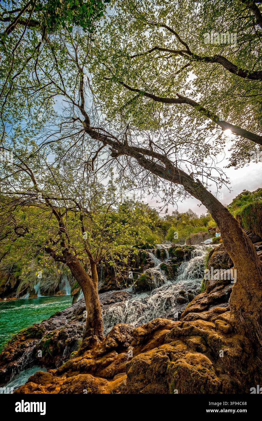 Dalmazia Croazia Parco nazionale di Krka - Skradin- Skradinski Buk - cascata Foto Stock