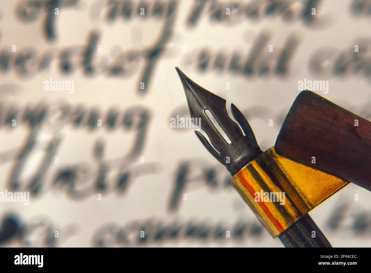 Pena di calligrafia su un portapenna, primo piano Foto Stock