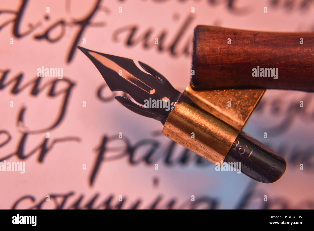 Antica penna da calligrafia in primo piano sulla scrittura manoscritta Foto Stock