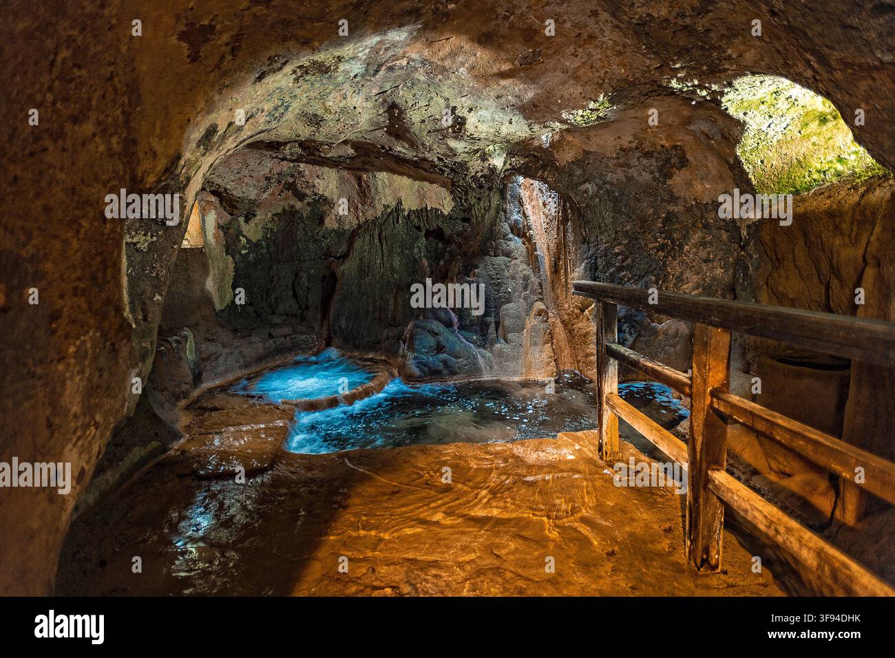 Croazia Dalmazia Parco nazionale del Krka - Skradin- Skradinski Buk - Lavanderia naturale - qui le donne lavavano un tempo i vestiti con sapone creato naturalmente da Phytop Foto Stock