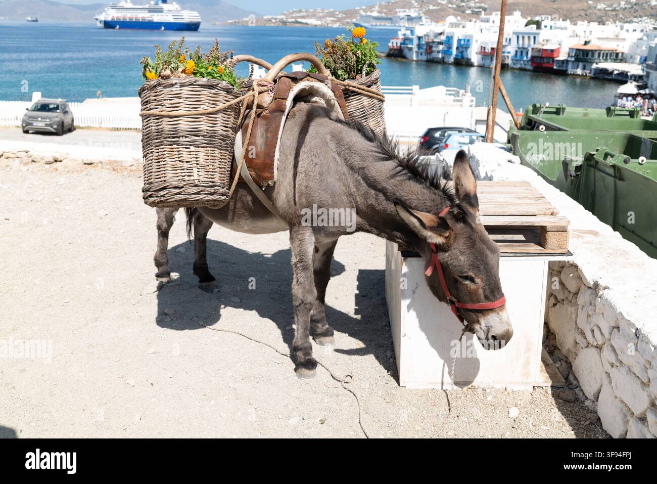 Asino che trasporta cesti di fiori in vimini su un sentiero sul lungomare con barche da pesca sullo sfondo, Mykonos, Grecia. Foto Stock