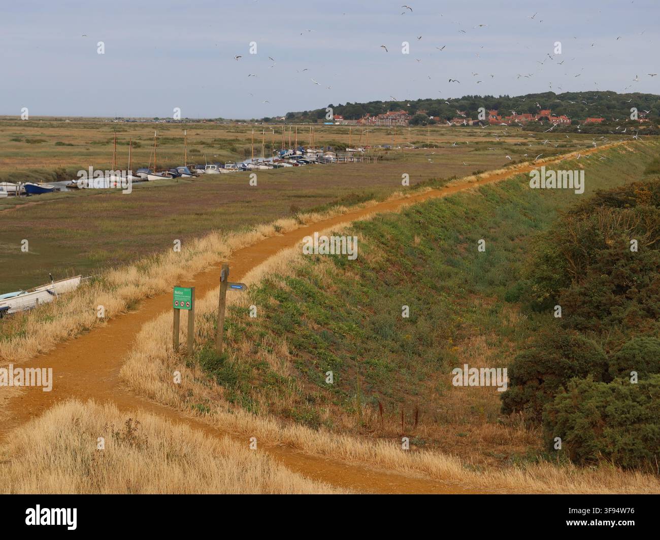 Vista dal Morston Quay lungo il sentiero costiero del Norfolk verso Blakeney con barche ormeggiate nel Canale e uccelli che volteggiano sopra. Foto Stock