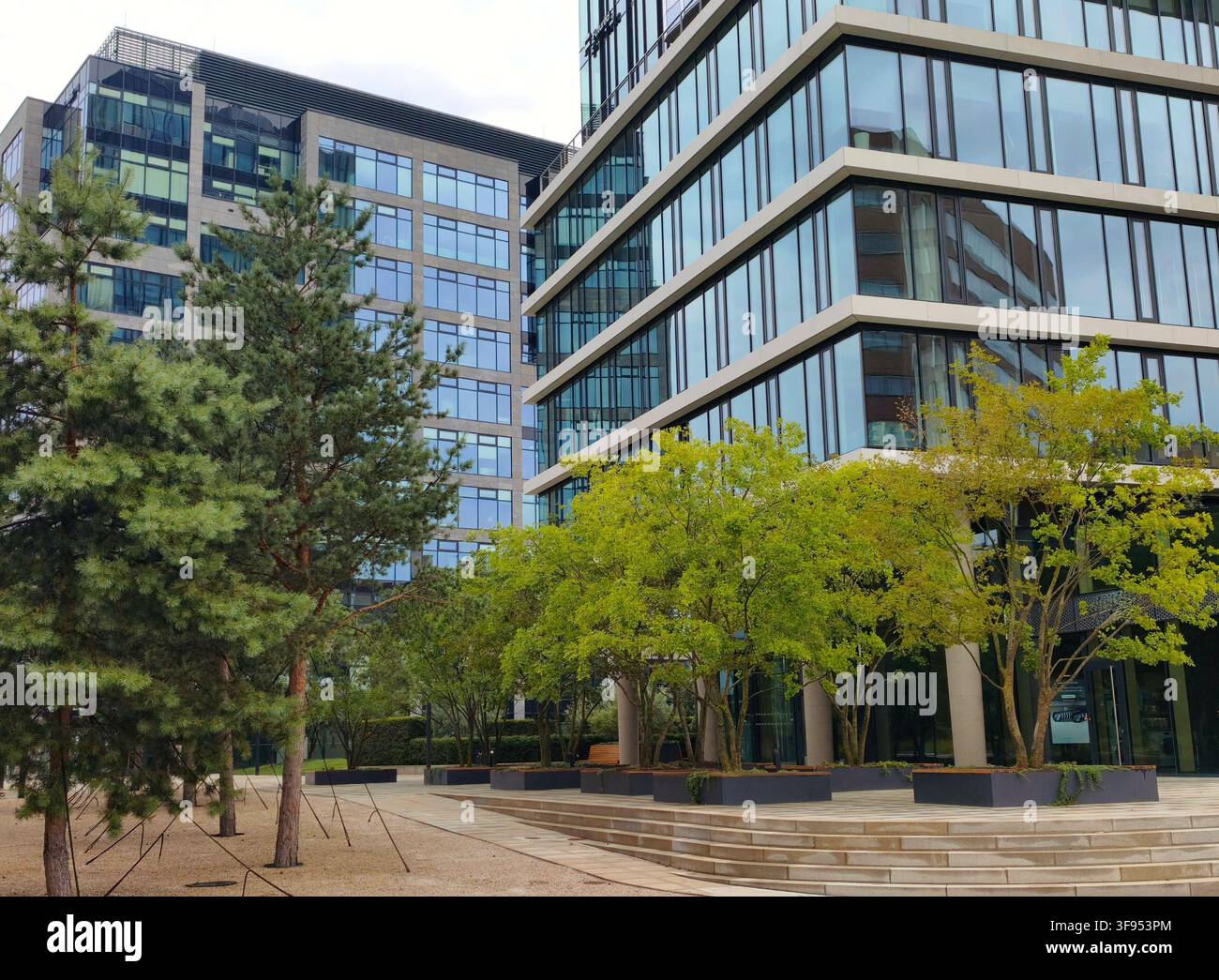 Edifici di uffici moderni in vetro in un distretto aziendale con alberi verdi come concetto di business eco-friendly e architettura verde - Immagine stock catturata con smartphone