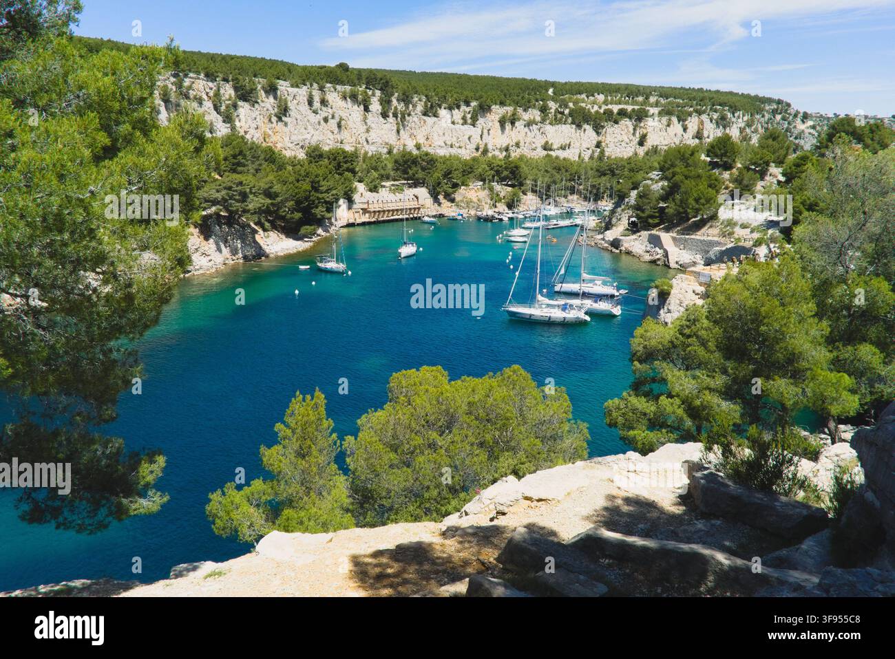Vista ad angolo alto della baia protetta di Calanque de Port-Miou circondata da pini a Cassis, Bouches-du-Rhône, Provenza, Francia. Foto Stock
