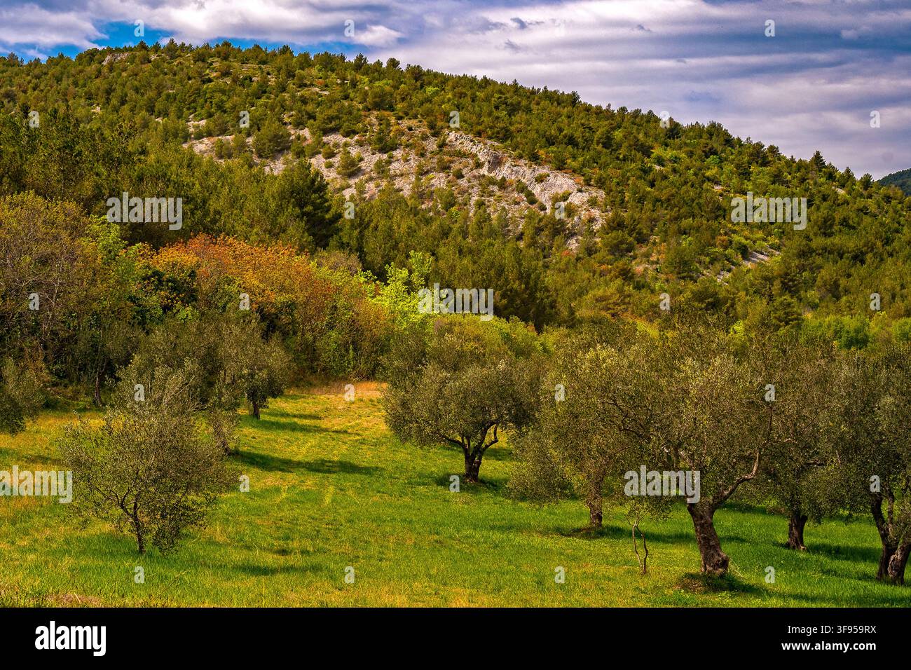 Dalmazia Croazia Parco nazionale di Krka - lago di Visovac Foto Stock