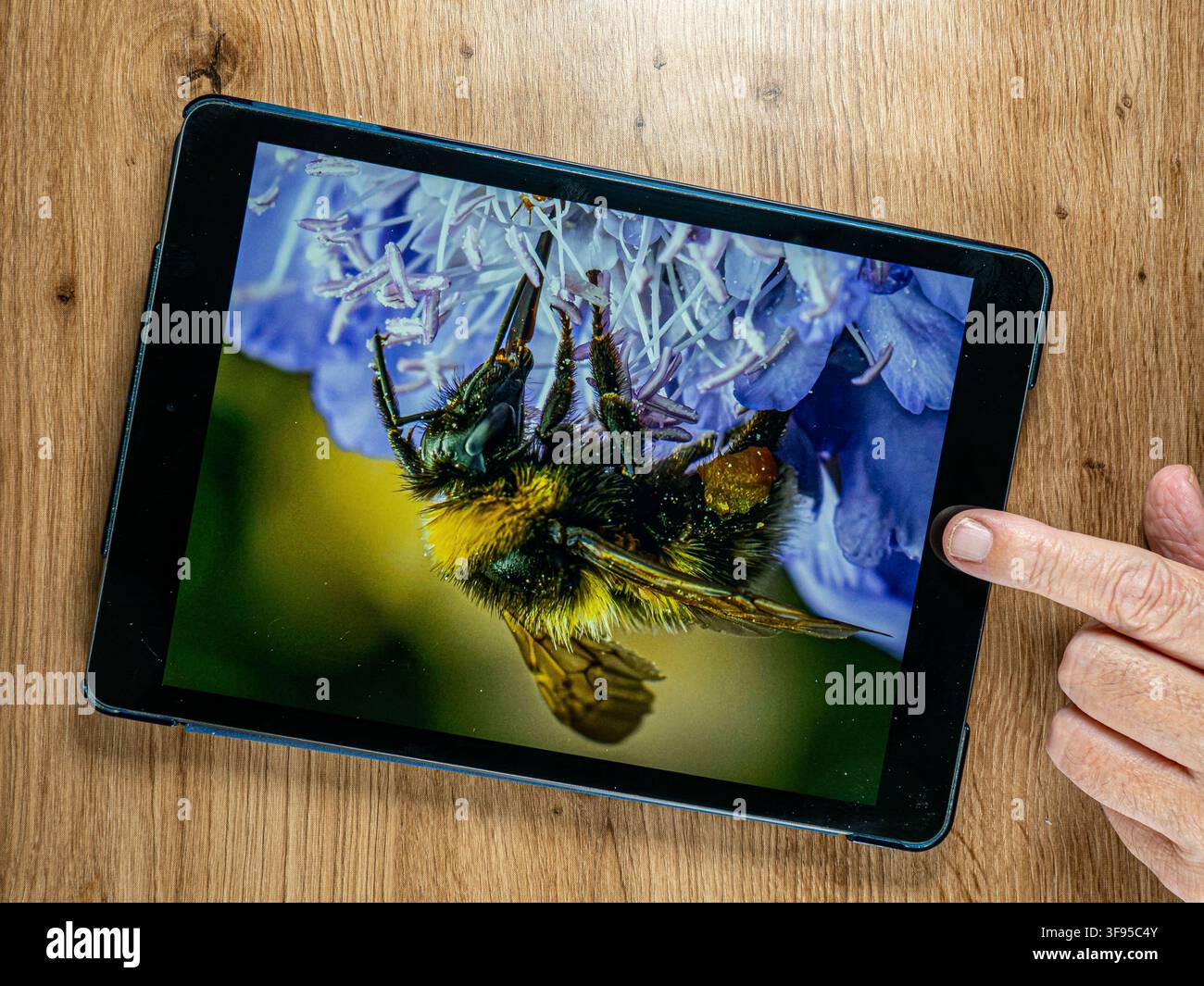 Grandi immagini su un tablet connesso a Internet Foto Stock