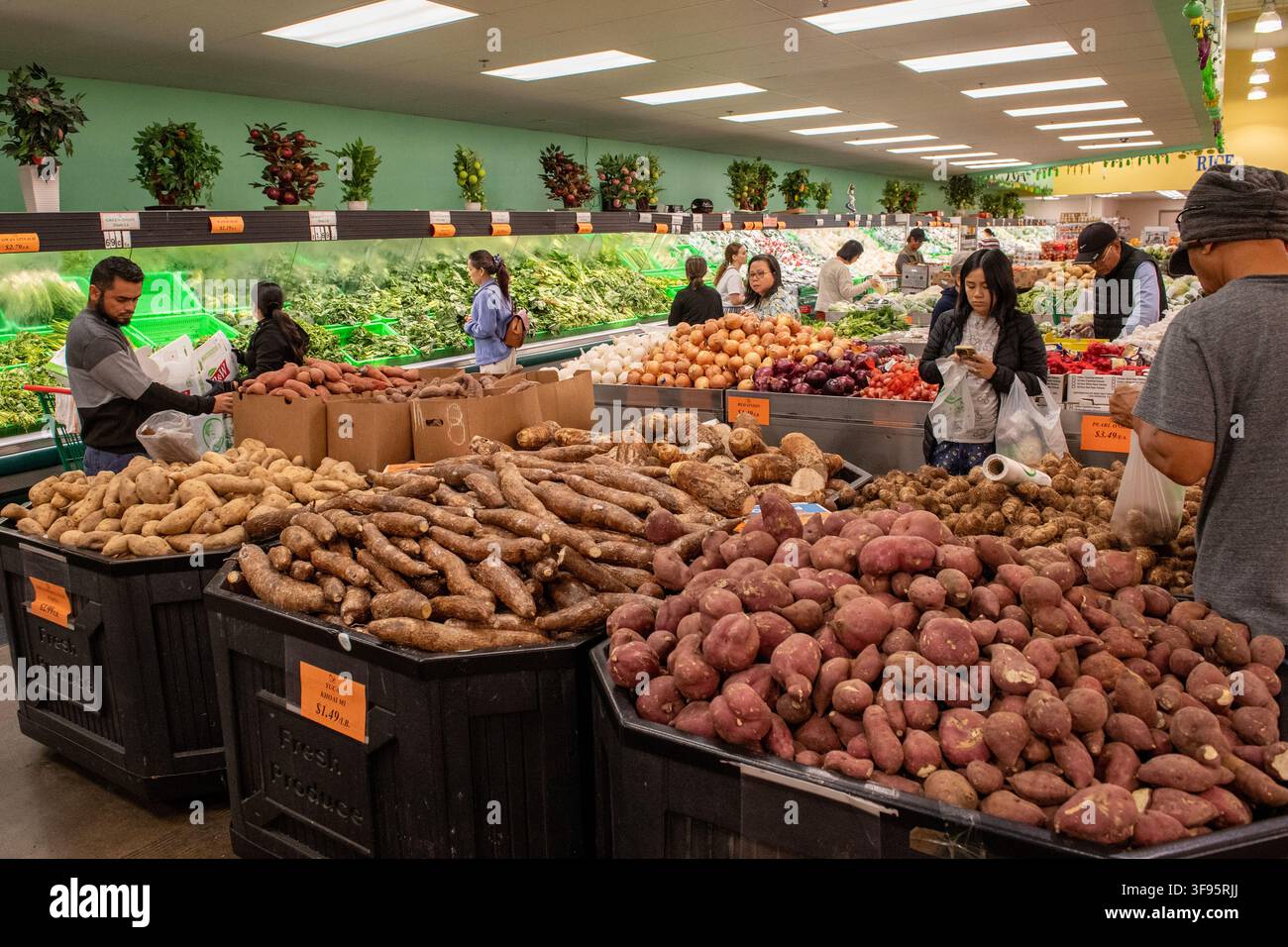 Reparto ortofrutticolo al supermercato MT, Austin, Texas, 23 novembre 2024. (Foto di John Anderson/The Austin Chronicle) Foto Stock