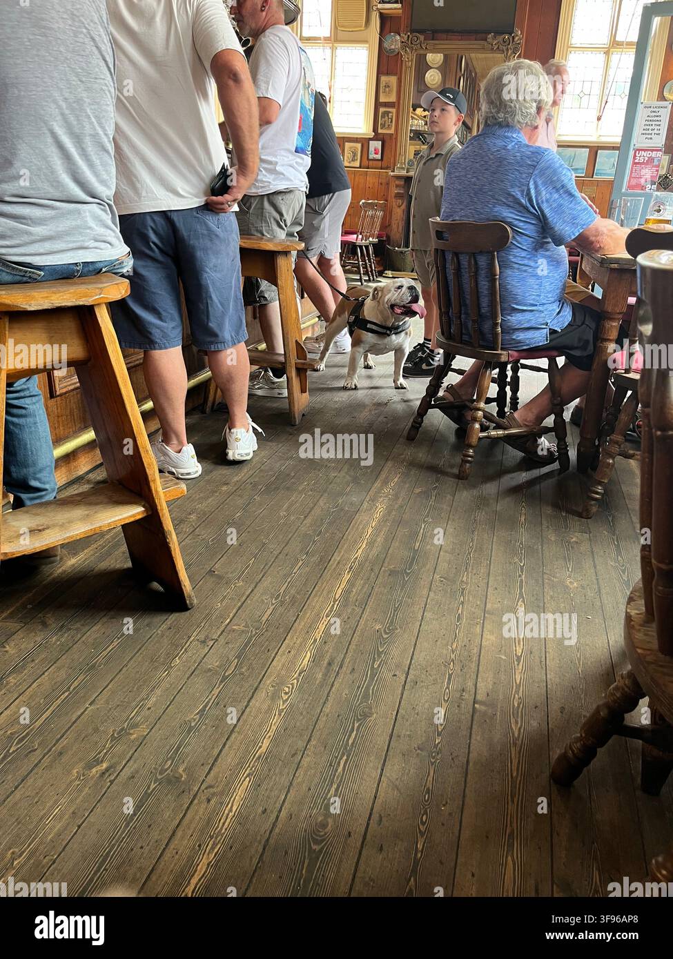 Cani e i loro proprietari in un pub amichevole ai cani in Gran Bretagna. The White Hart Inn, 222 High St, Aldeburgh Suffolk IP15 5AJ UK Foto Stock