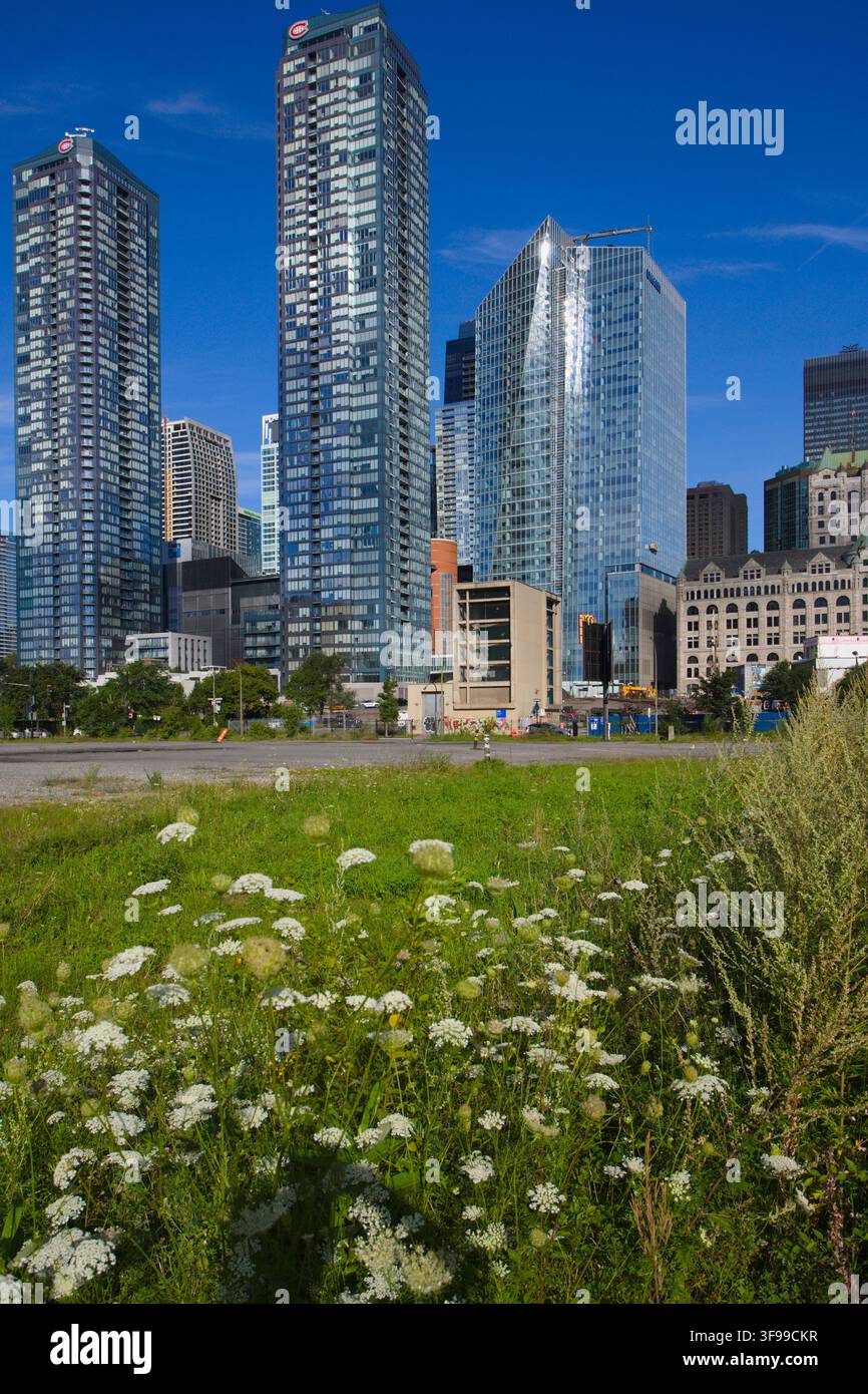 Canada, Quebec, Montreal, Foto Stock
