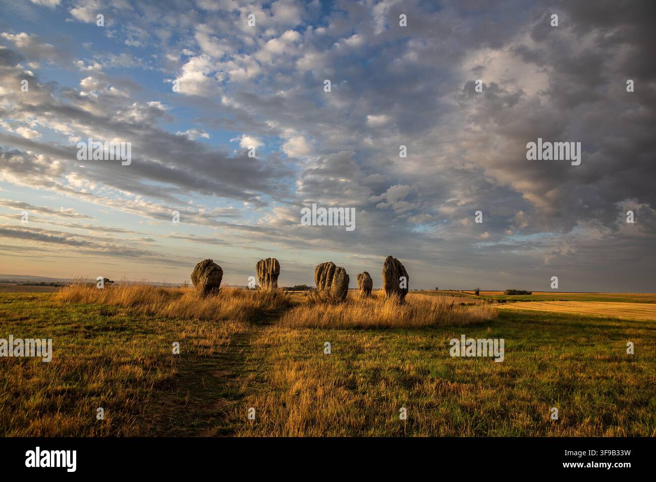 Le Duddo Five Stones (riferimento griglia NT930437) è un cerchio di pietre a nord di Duddo nel North Northumberland, circa 4 miglia (6 km) a sud del Sc Foto Stock