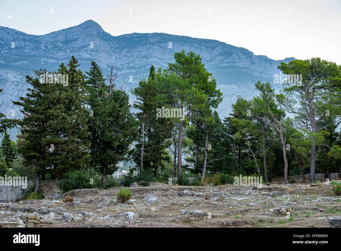 Un paesaggio tranquillo con una vasta catena montuosa contro un cielo pallido e nuvoloso, circondato da dense foreste di conifere naturali. Foto Stock