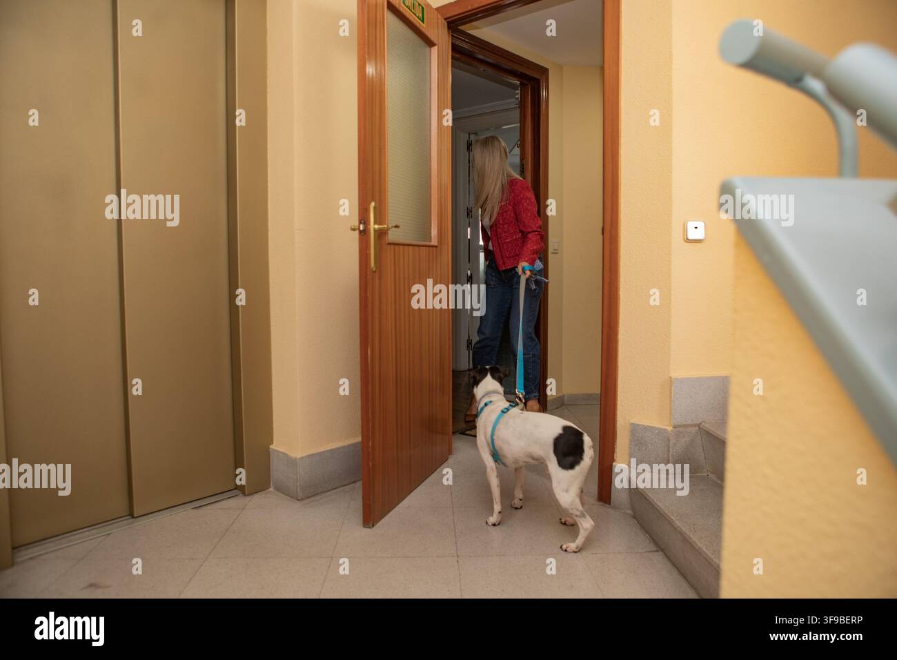 Una donna si prepara a uscire dal suo appartamento tenendo il guinzaglio del suo cane impaziente. Il corridoio luminoso ha un'atmosfera accogliente mentre entrambi cercano Foto Stock