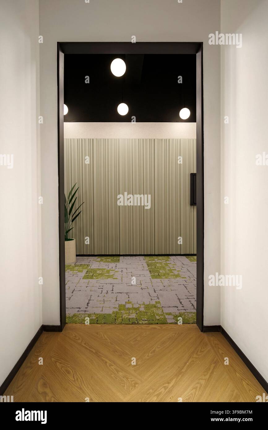 Una vista attraverso una porta incorniciata scura con pavimentazione in legno chevron, che si affaccia su uno spazio interno contemporaneo. La stanza presenta un verde distintivo Foto Stock