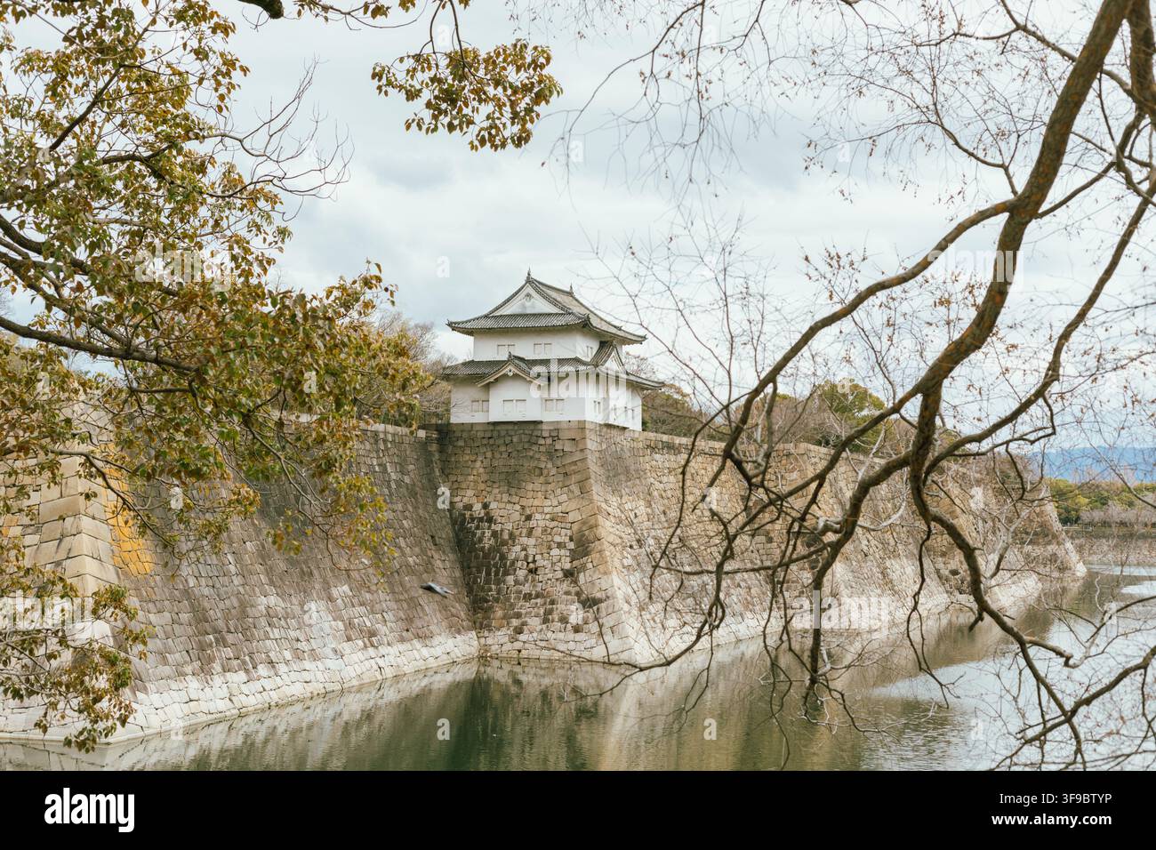 Vista del parco del castello di Osaka, Giappone Foto Stock