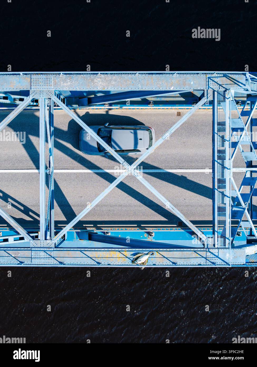 Vista aerea di un'auto che attraversa un ponte di ferro blu con un cadavere di cigno appoggiato sulla trave strutturale sopra acque scure, Lettonia. Foto Stock
