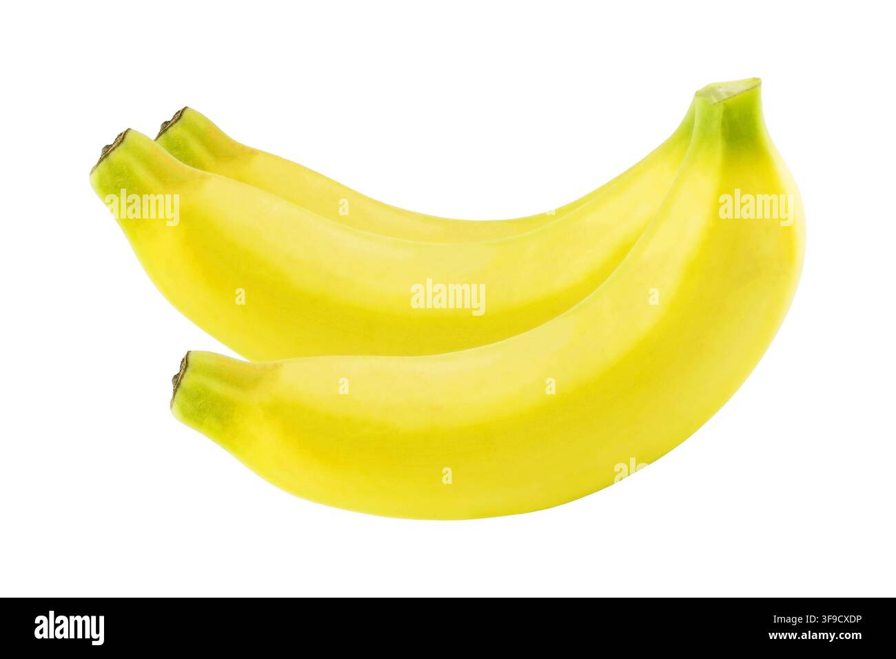 Un grappolo di deliziose banane Cavendish gialle e dolci. Elemento di design di frutta tropicale biologica isolato su sfondo bianco puro Foto Stock