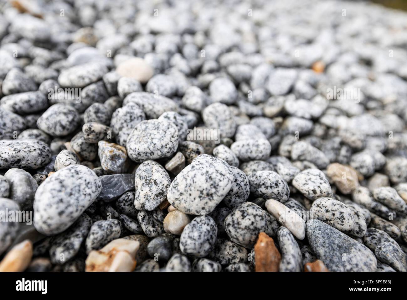 Letto di ciottoli lisci e pietre naturali con texture grigio chiaro, sfondo superficie in pietra a quadro intero per architettura e design Foto Stock