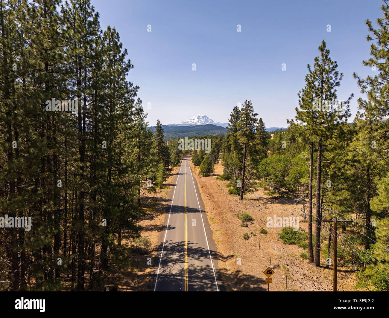 Vista della Mount Adams Highway che si estende attraverso una foresta di pini verso la vetta innevata del Monte Adams a Glenwood, Washington, Stati Uniti. Foto Stock