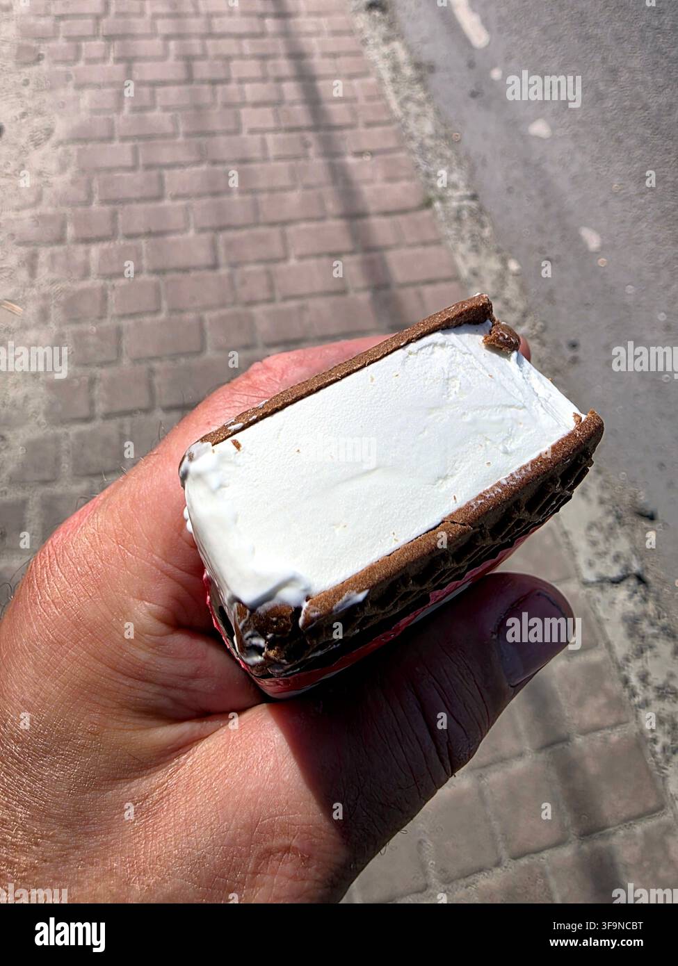 Una mano tiene un delizioso sandwich al gelato con ricche strati di cioccolato fondente che avvolgono un cremoso gelato alla vaniglia, perfetto per una giornata calda sul lato Foto Stock