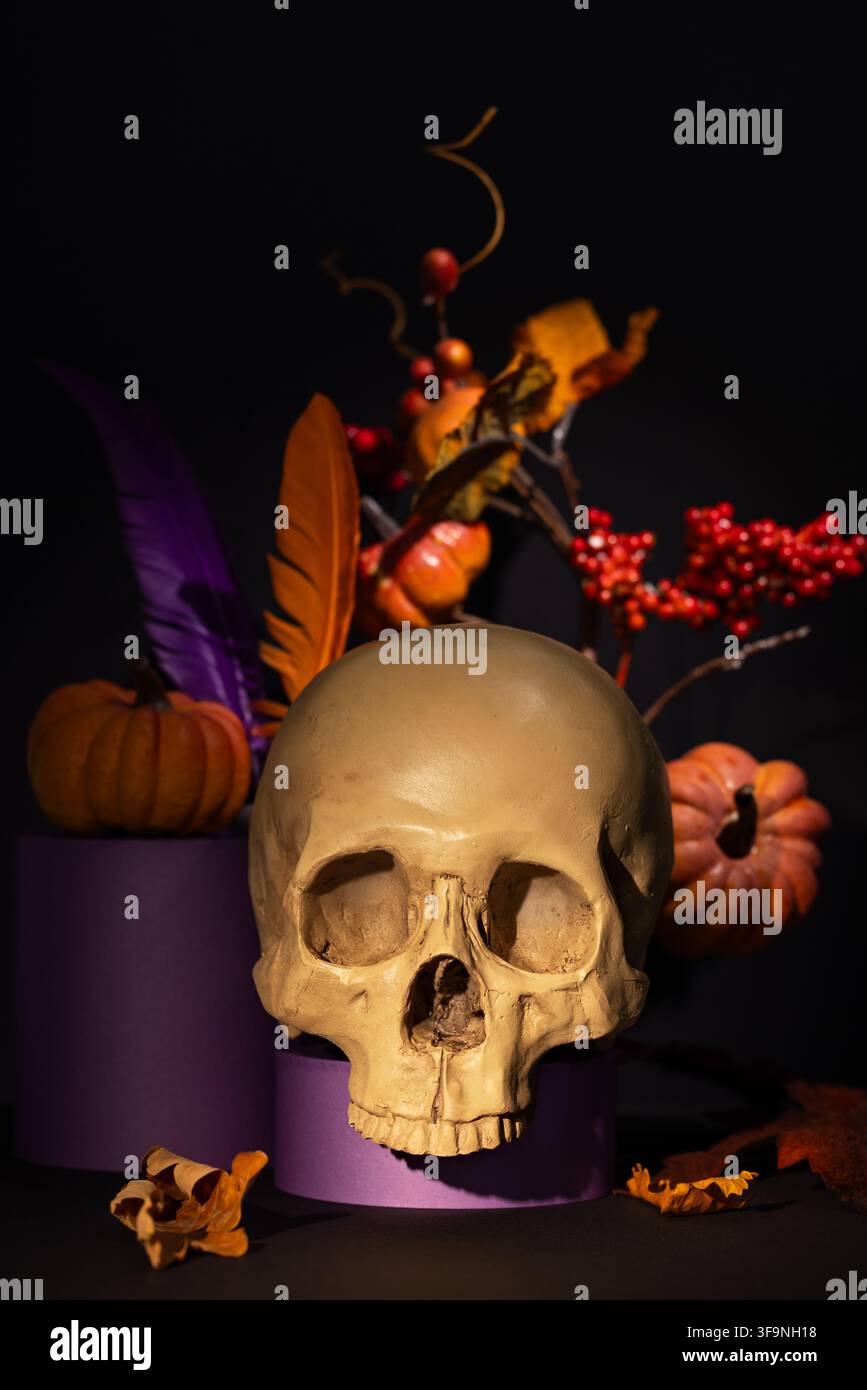 Teschio umano su podio viola con piume, zucche e fogliame autunnale per poster oscuro di Halloween o design stagionale gotico Foto Stock