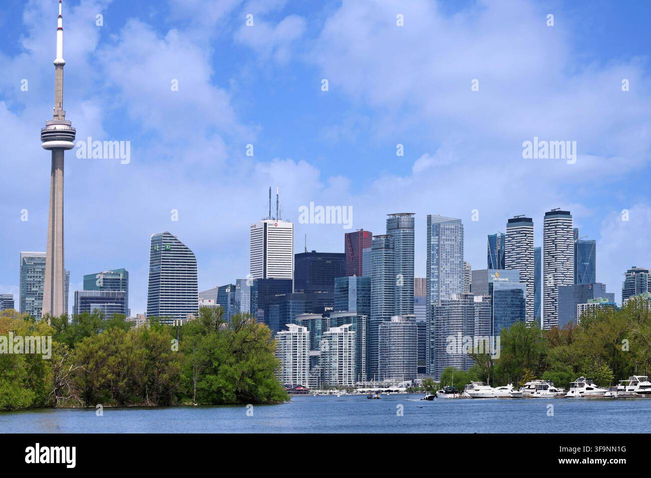 Skyline del centro di Toronto, vista dal parco dell'Isola di Toronto Foto Stock