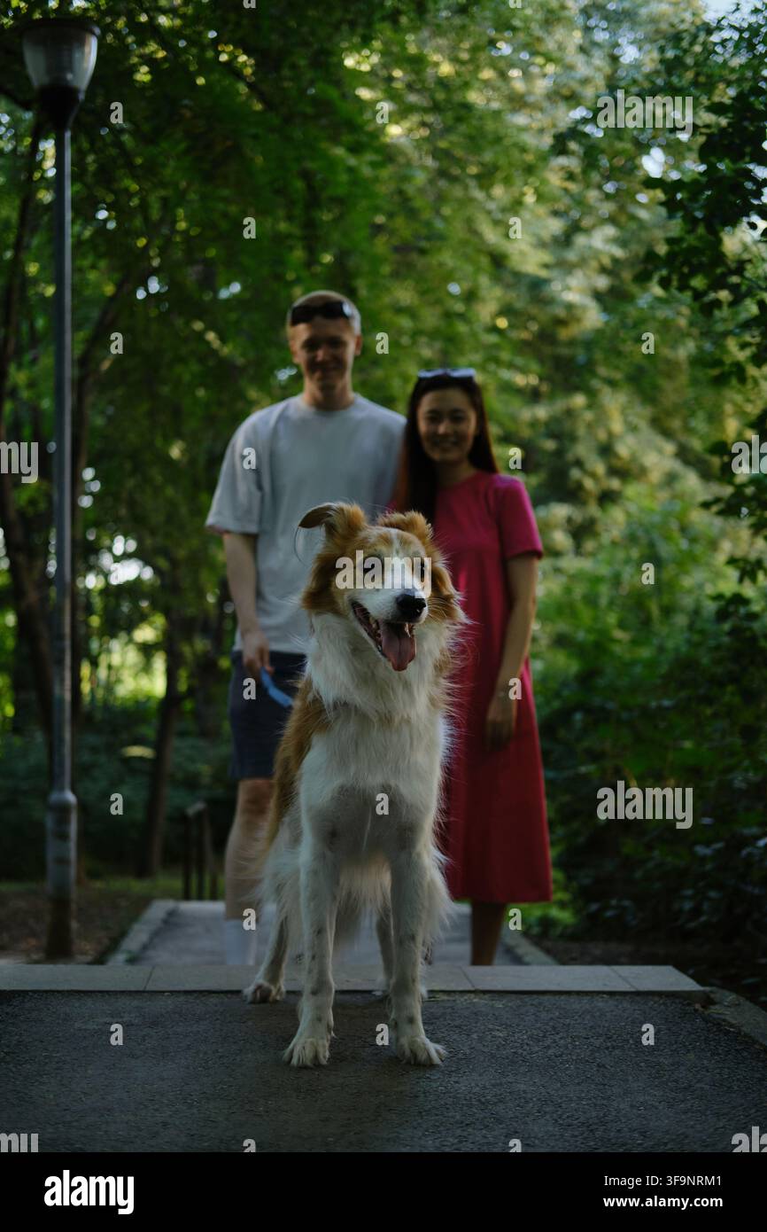 Cane a fuoco mentre una giovane coppia sorride sullo sfondo. Stile di vita all'aperto e amore nella natura. Foto Stock
