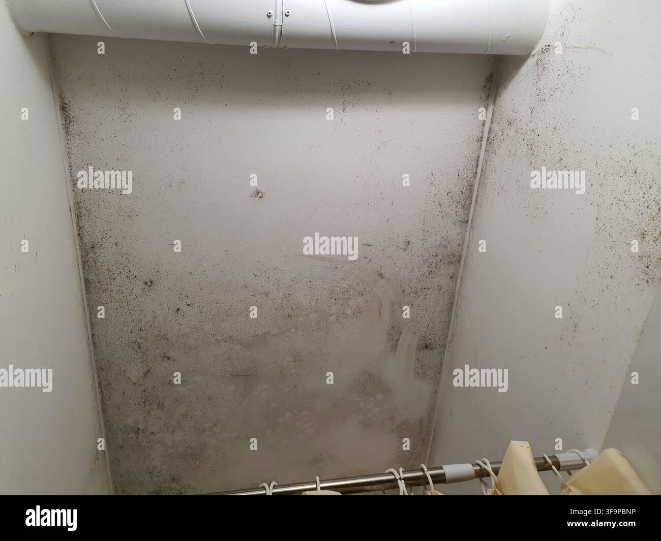 Vista interna di un angolo di stanza gravemente infestato da muffa, probabilmente un bagno o un armadio. Le pareti e il soffitto bianchi sono ampiamente ricoperti di Foto Stock