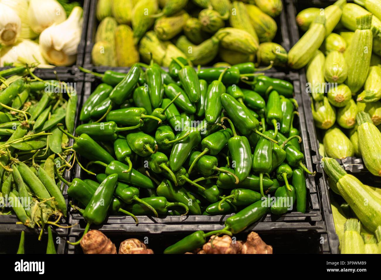 Peperoni jalapeno verdi freschi esposti nel reparto frutta e verdura di un supermercato con verdure biologiche, ingredienti piccanti per una cucina sana Foto Stock