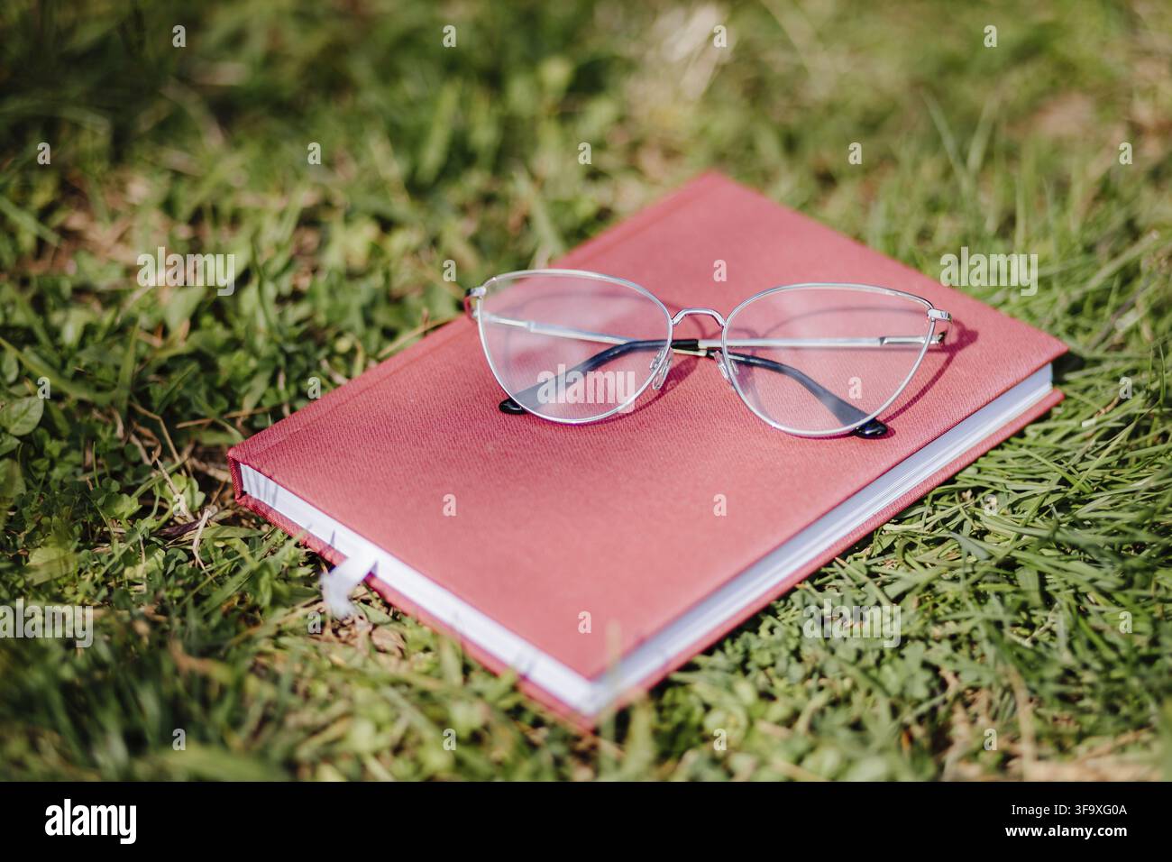 Occhiali e quaderno appoggiati sull'erba all'aperto. occhiali e diario Foto Stock