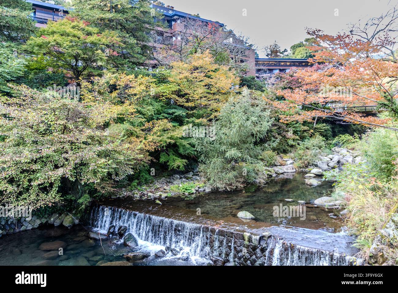 Un piccolo sbarramento trasforma il fiume Hayakawa in una stretta cascata lungo Taki-dori (滝通り) a Hakone-Yumoto, prefettura di Kanagawa, Giappone. Aceri colorati autunnali fiancheggiano la fila di ryokan sulla riva. Foto Stock