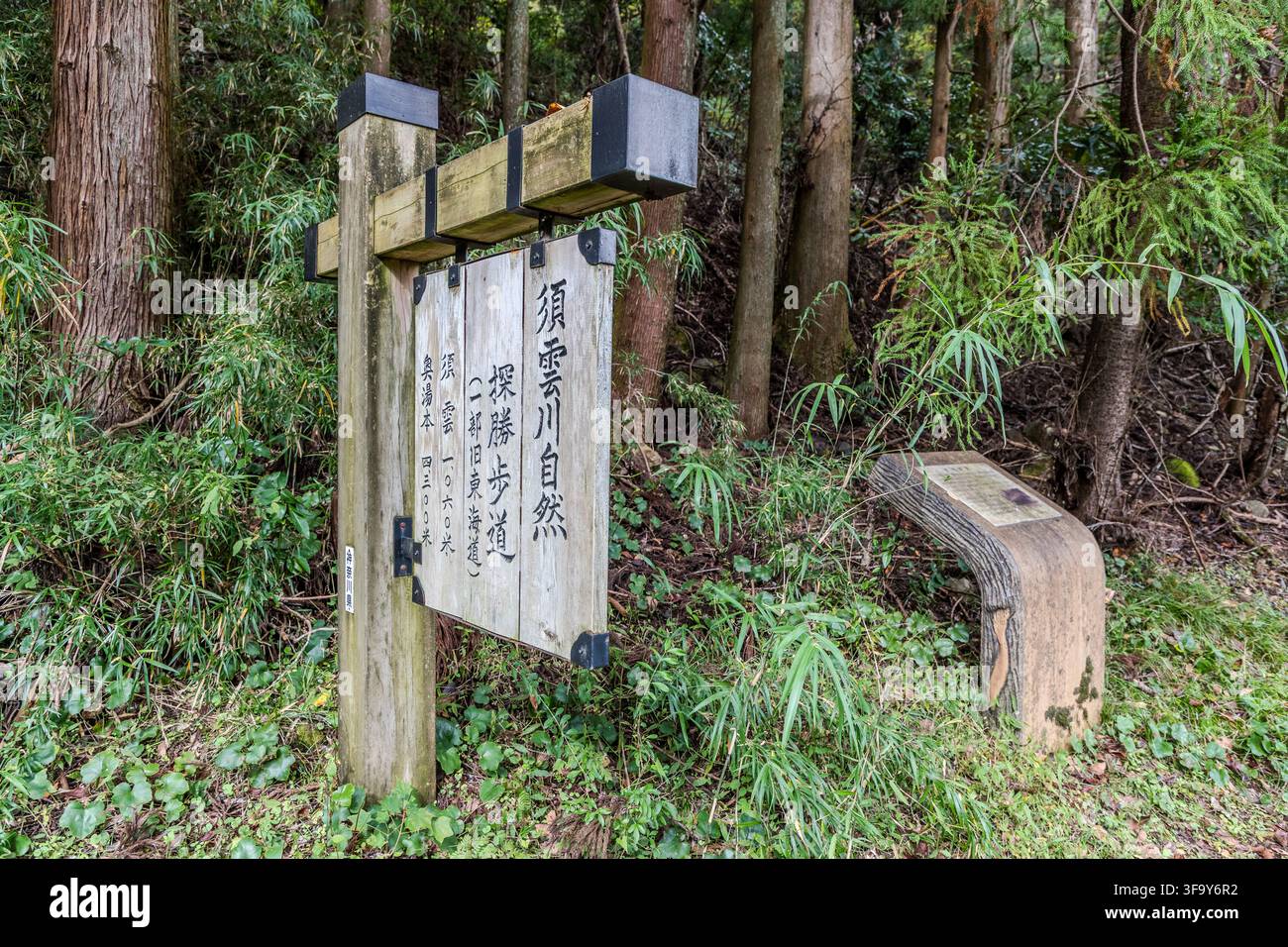 Un cartello di legno con lettere giapponesi segna il Sentiero Naturale Sukumogawa (須雲川自然探勝歩道) nel bosco vicino a Hakone, Prefettura di Kanagawa, Giappone. Il sentiero segue la sezione storica orientale dell'antica Via Tōkaidō tra Hakone-Yumoto e Hatajuku. Nel 1680, lo shogun fece fortificare questa sezione orientale del passo tra Yumoto e Hatajuku per impedire che si trasformasse in un sentiero fangoso nel clima montano umido. Foto Stock