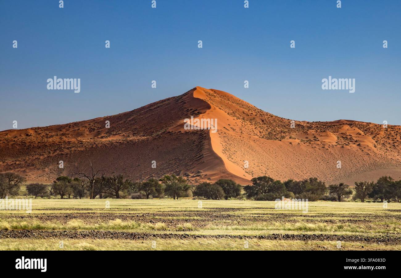 Il paesaggio desertico di Sossusvlei, Parco nazionale di Namib Naukluft, Namibia, Africa Foto Stock