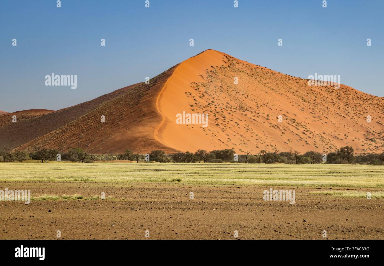 Il paesaggio desertico di Sossusvlei, Parco nazionale di Namib Naukluft, Namibia, Africa Foto Stock