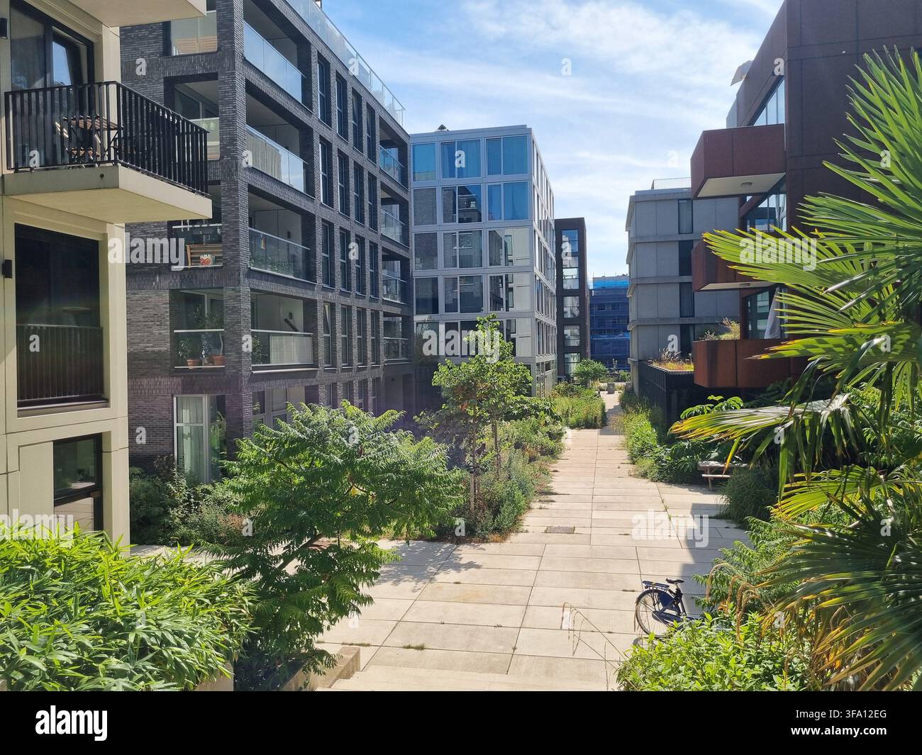 Vista elevata di una passerella pedonale verde circondata da edifici residenziali moderni e vegetazione lussureggiante a Oostenburg Amsterdam. Concetto di urbana b - Immagine stock catturata con smartphone