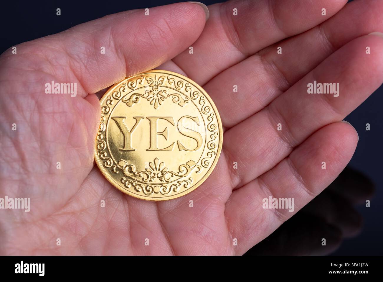 Una persona presenta una moneta d'oro con scritto "sì" in una mano. Foto Stock