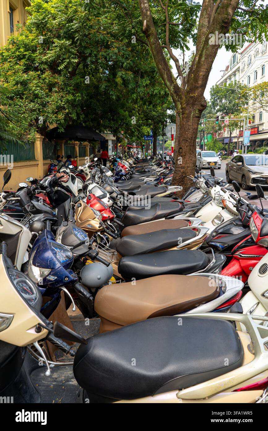 Una fila di scooter parcheggiati ordinatamente su una strada del Vietnam, con alberi rigogliosi che proiettano ombre. Il traffico è visibile anche sulla strada. Vietnam, Hanoi, 2025-10 Foto Stock