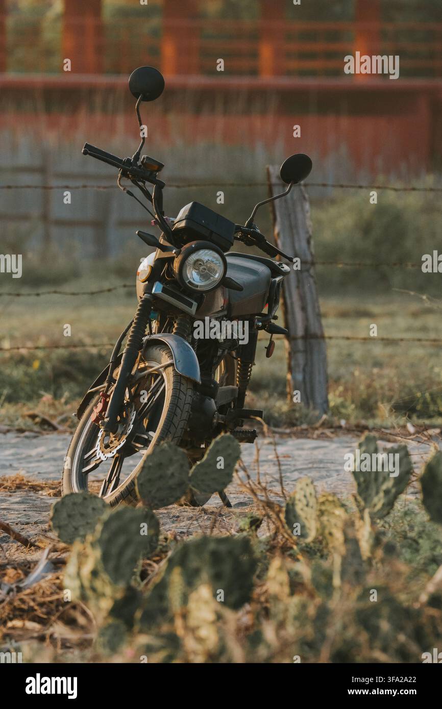 Moto classica parcheggiata su una strada sterrata vicino a un campo con cactus al tramonto Foto Stock