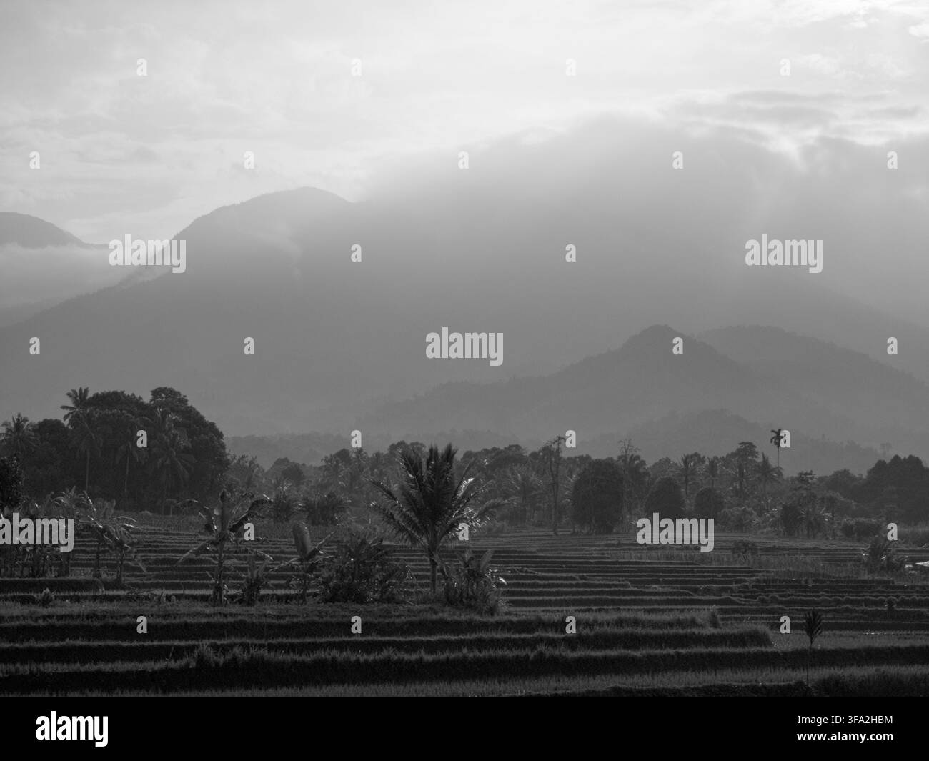 Splendida vista mattutina in Indonesia, paesaggio panoramico di risaie con catene montuose e cielo limpido Foto Stock