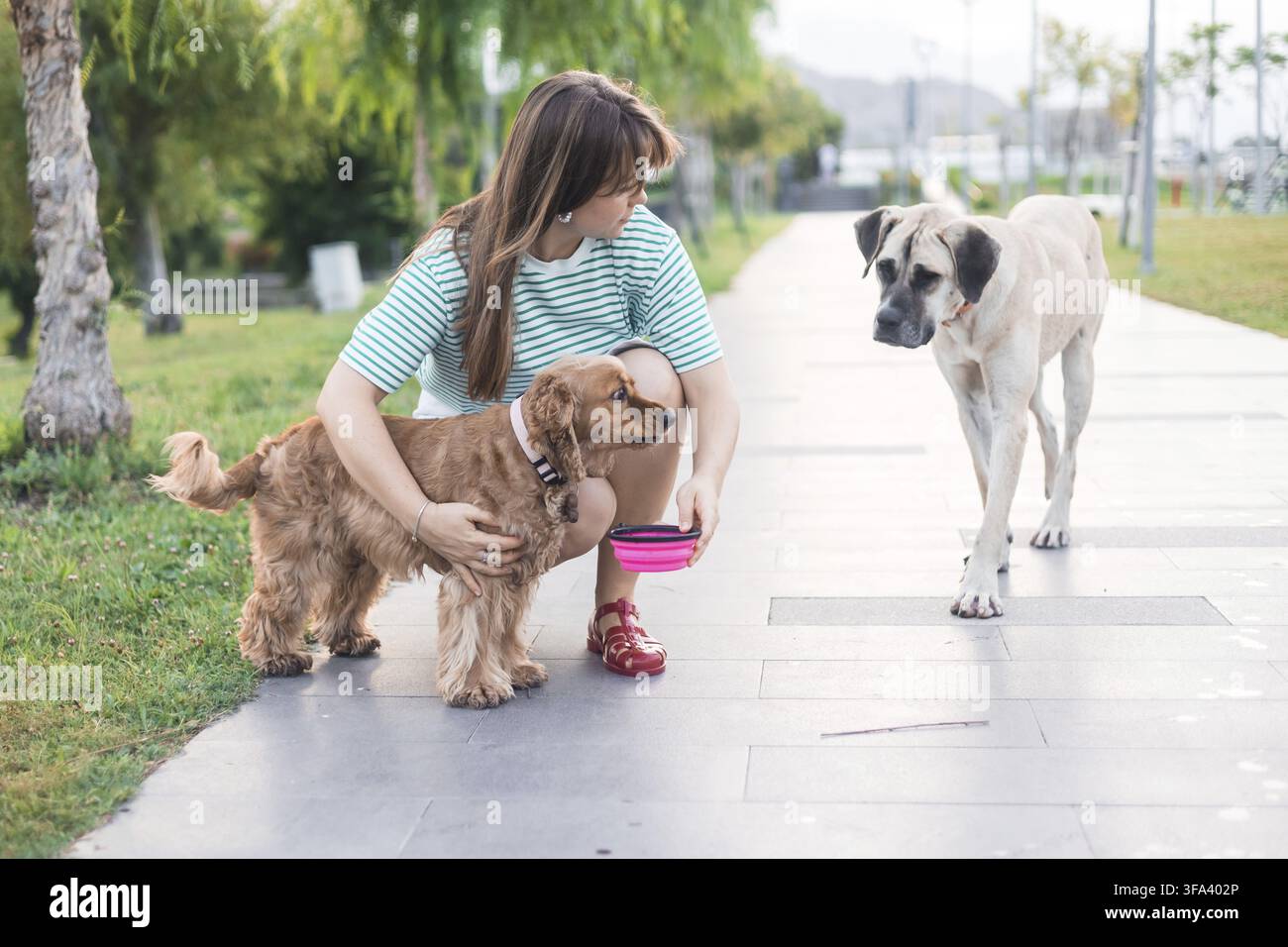 Donna con due cani che interagiscono su un sentiero del parco, circondata dalla vegetazione Foto Stock