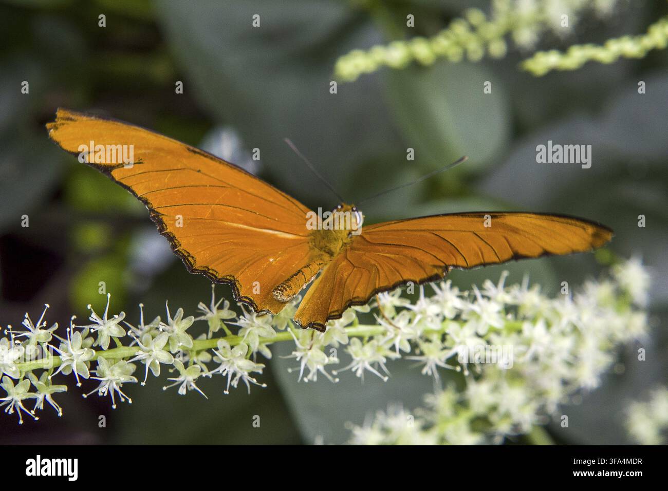010-10.2023-22 Foto Stock