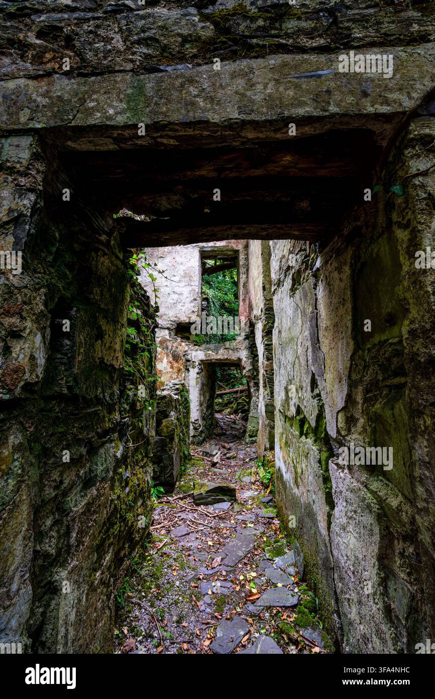 Corridoio stretto che si affaccia su porte in pietra consecutive all'interno di un cottage senza tetto abbandonato, circondato da edera e macerie di ardesia a Dorothea Quarry Foto Stock