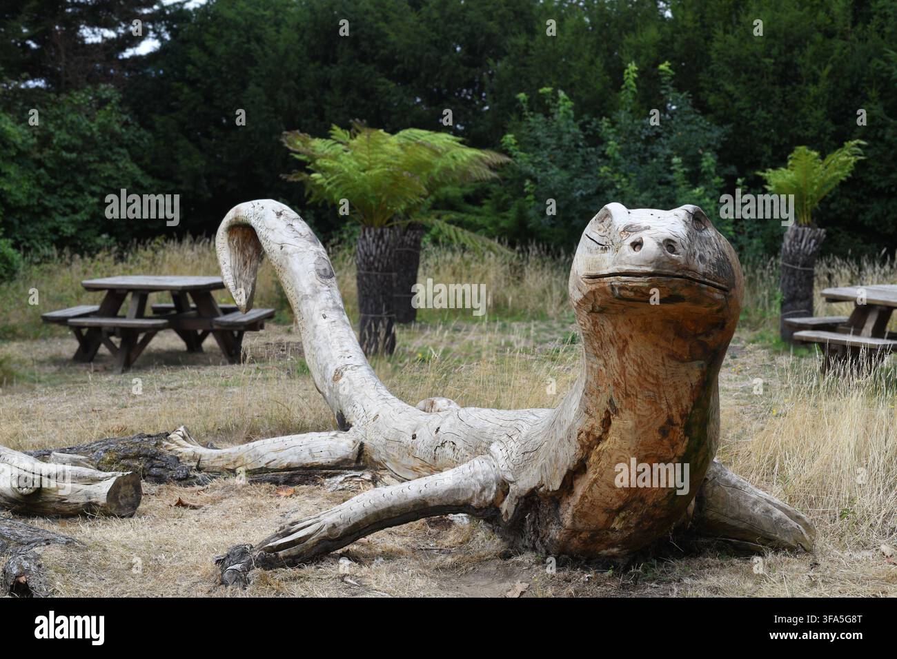 Saurio intagliato da un albero Foto Stock