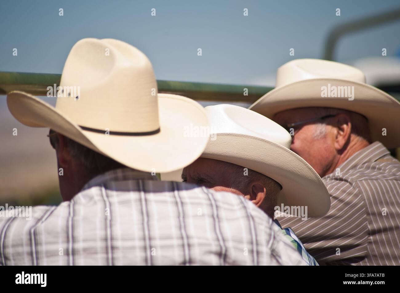 Tre cowboy con cappelli bianchi stile Stetson si riuniscono e socializzano durante un rodeo a Dubois, Wyoming, USA. Gli uomini sono vestiti con abiti western. Foto Stock