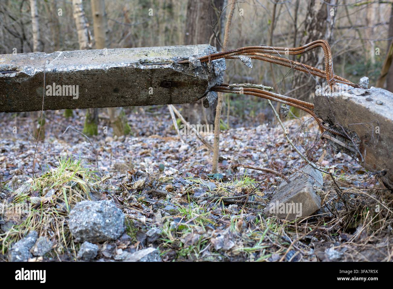 Palo telegrafico in cemento rotto con fili di acciaio interno esposti in una foresta. Guasto tecnico, danni alle infrastrutture e pericolo Conce Foto Stock