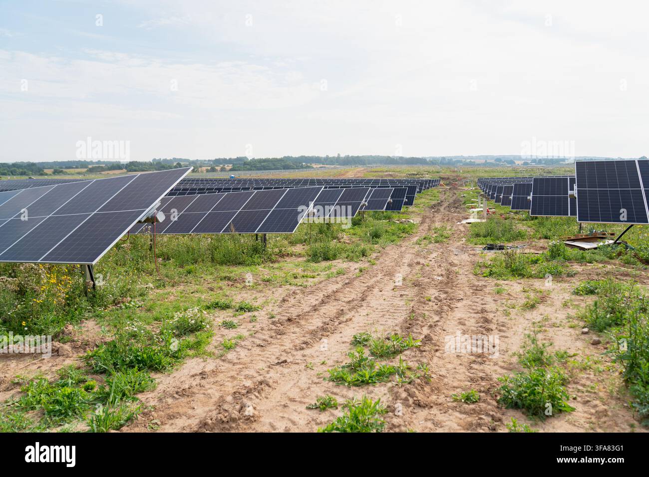Panelli solari fotovoltaici montati su sistemi di tracciamento installati su un cantiere aperto che generano energia rinnovabile pulita Foto Stock