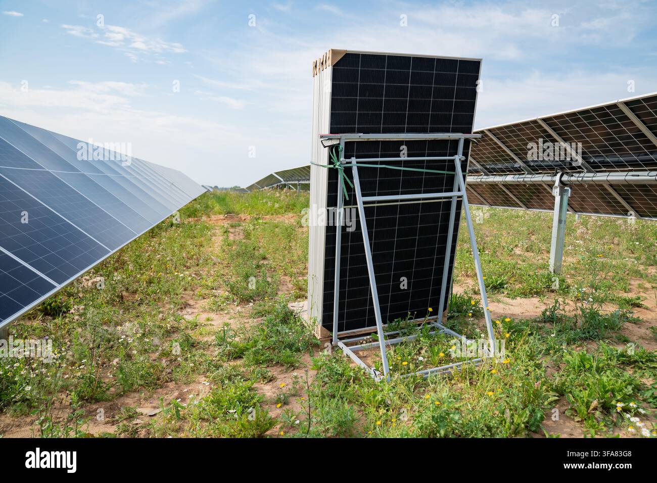 Moduli solari industriali impilati su un supporto di trasporto spedizioni durante la costruzione di una fattoria fotovoltaica a scala utilitaria montata a terra Foto Stock