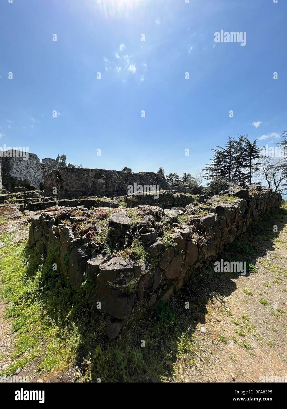 Mura di pietra e rovine ricoperte dalla vegetazione di un'antica fortezza sotto un cielo blu. - Immagine stock catturata con smartphone