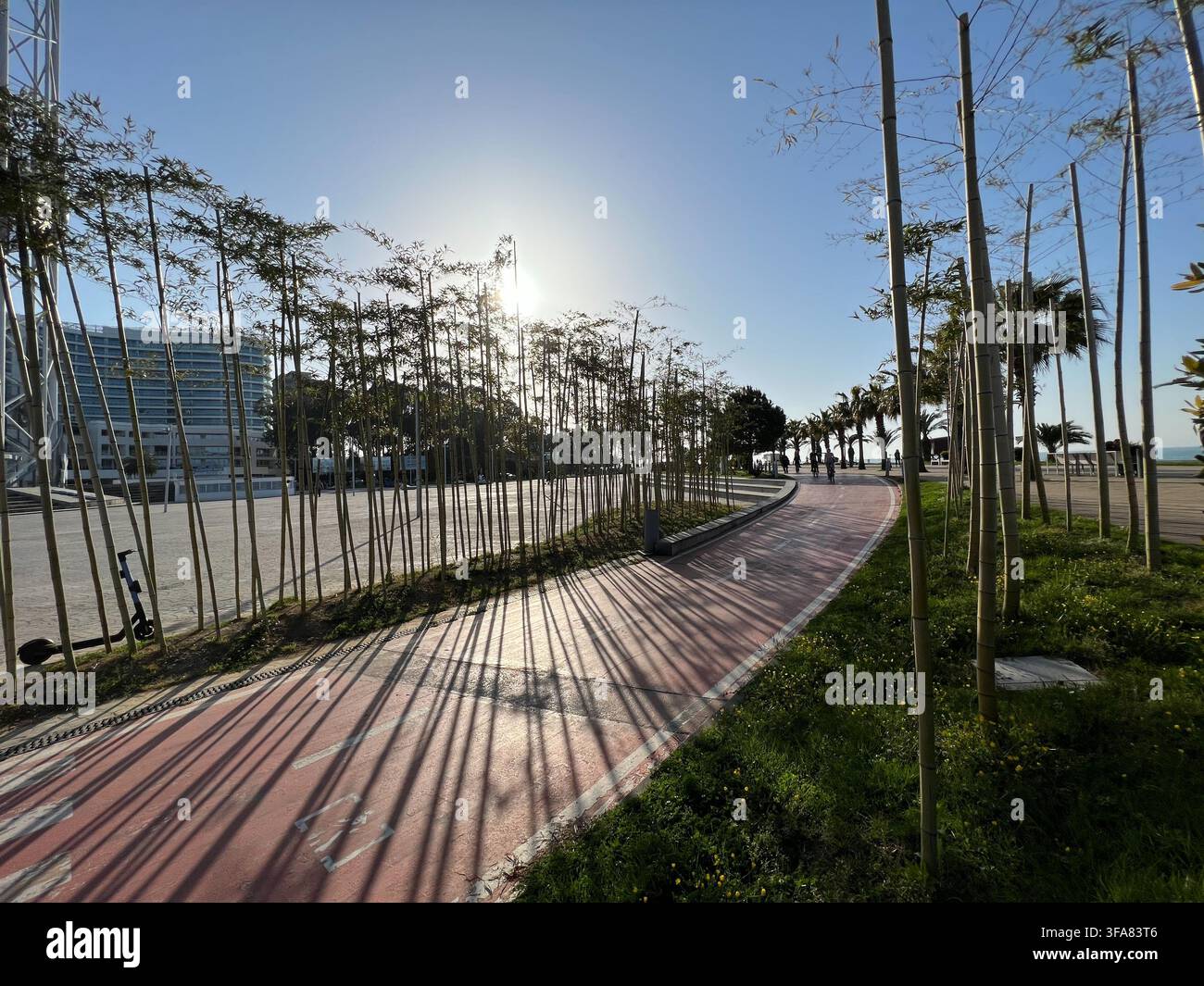 Lunghe ombre di steli di bambù su una passerella di legno al sole del pomeriggio. - Immagine stock catturata con smartphone