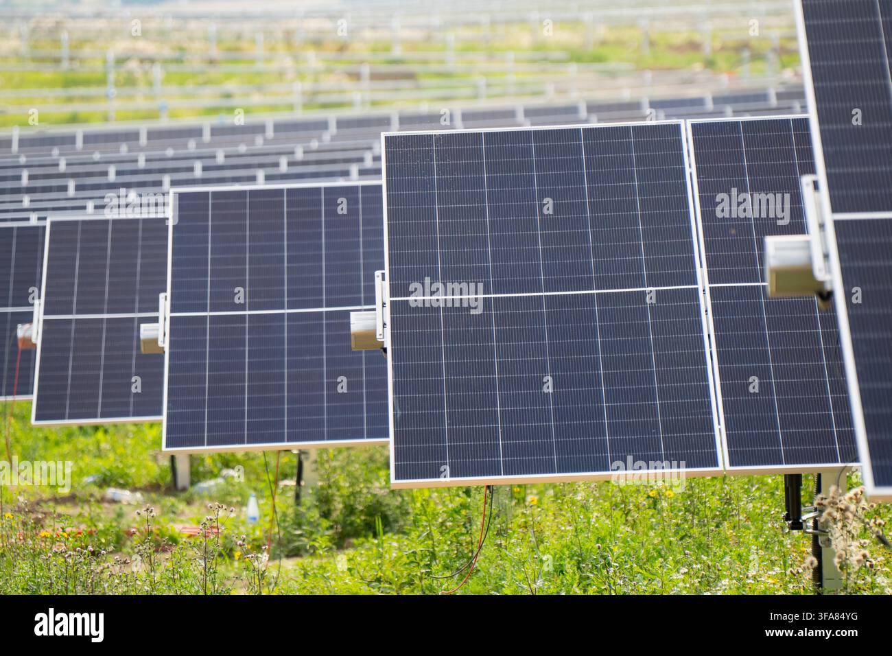 Moduli di pannelli solari monocristallini montati su inseguitori ad asse singolo motorizzati in un campo di centrale fotovoltaica Foto Stock